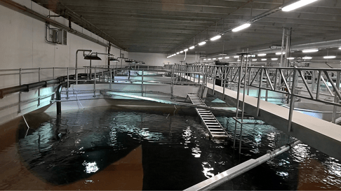 Salmar_FishFarm_ MasterSeal_M689