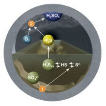 Conditions due to wastewater composition are changing