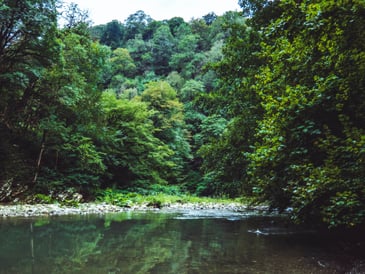 Natural recycling of water