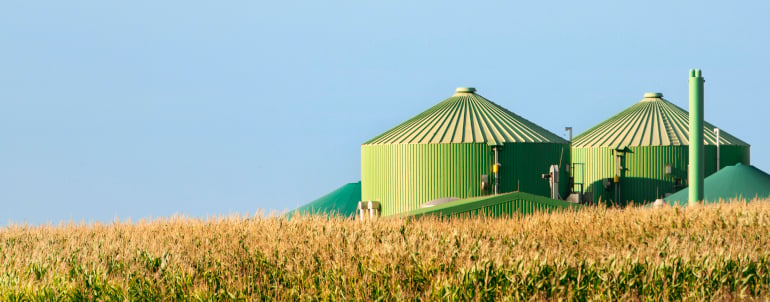 Concrete and metallic biogas digesters